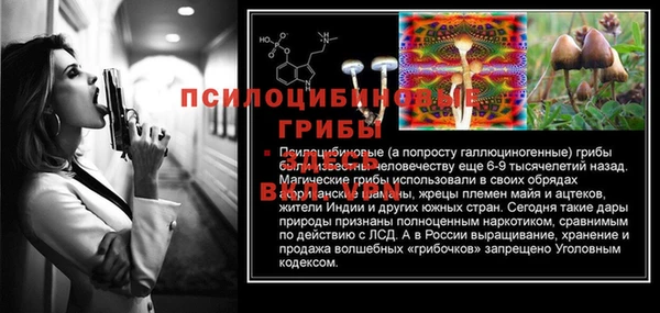 прущий лед Армянск