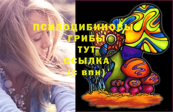 прущая мука Аркадак