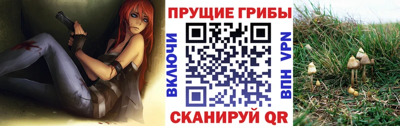 Купить  Кстово  Галлюциногенные грибы ЛСД 